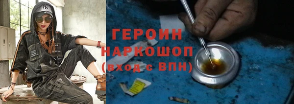 индика Володарск