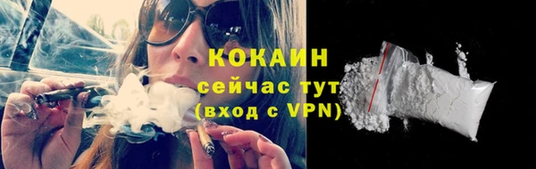 индика Володарск