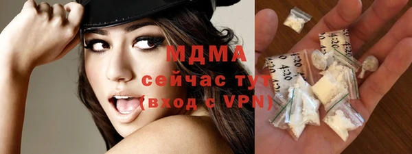индика Володарск