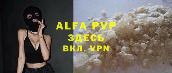 индика Володарск
