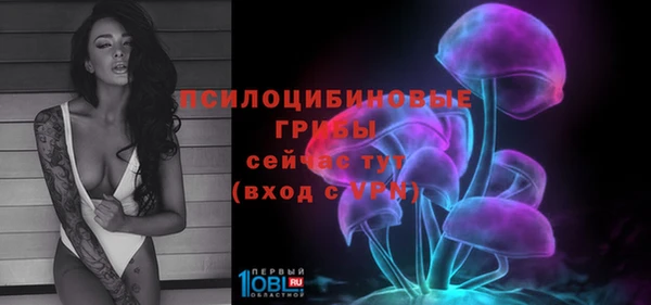индика Володарск