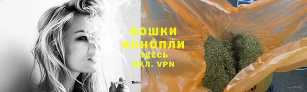 индика Володарск