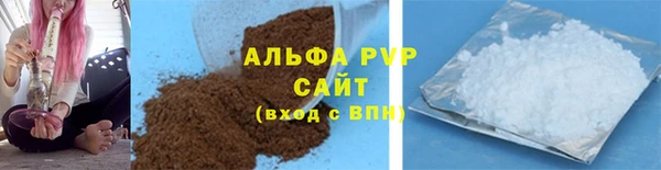 индика Володарск