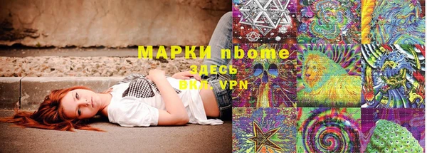 индика Володарск