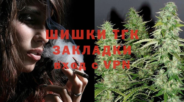 индика Володарск