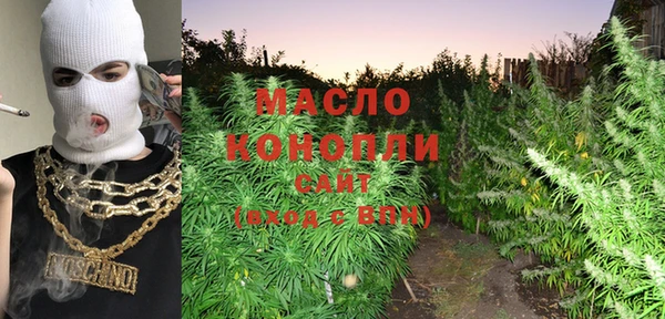 индика Володарск