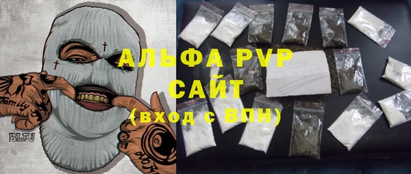 индика Володарск