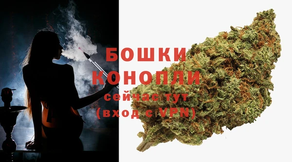 индика Володарск
