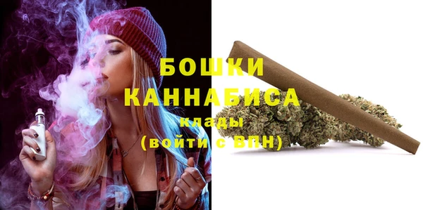 индика Володарск
