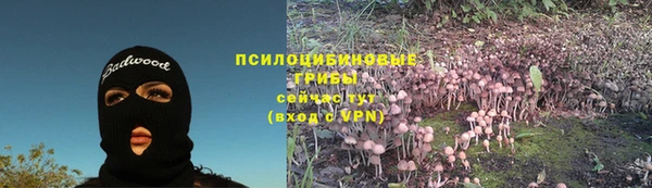 индика Володарск